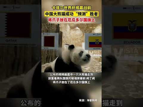 羽毛球年终,直播呈现赛,事成绩,大赢家足球比分,大赢家体育即时比分,大赢家体育比分网,比分直播