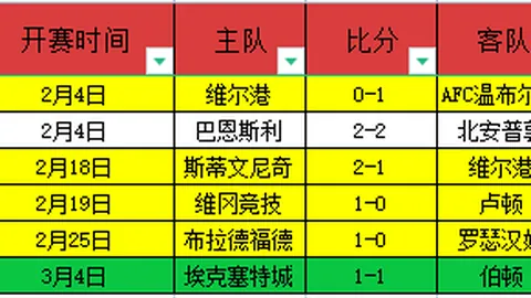 NBA魔术对独行侠比赛数据解析