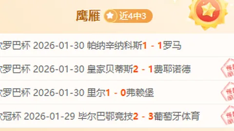 德乙焦点情报速递！【揭秘核心策略，收获满满】